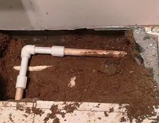 建湖测漏水哪家好