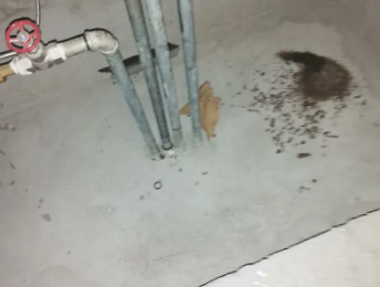 建湖卫生间测漏水价格明细