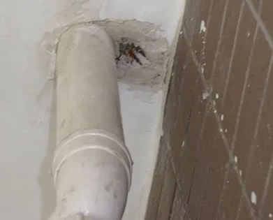 建湖漏水检测哪家好